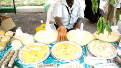 FIIRO promises growth with agro value chain