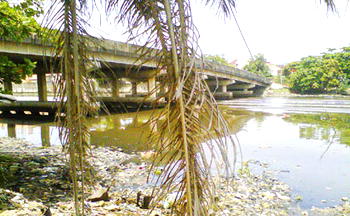 Puzzle over disappearance of man, 20, at Festac Link bridge