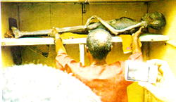 Abomination!: How son killed mother, hid body for 10 years
