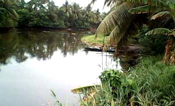 Will politicians campaign in the creeks?