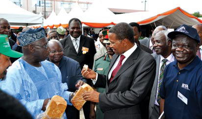 FG to release N10bn cassava bread development fund