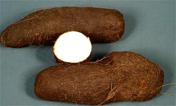 Can eating yams really give you twins?