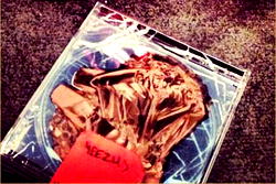 Kanye West releases strange artwork for album cover ‘Yeezus’