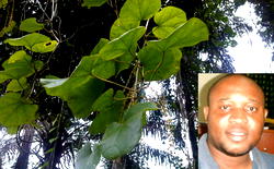 We help plan conservation strategies – Andrew Iloh