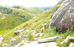 Mambilla Plateau: Untapped goldmine laced with death traps