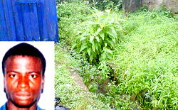 Gruesome Murder at Mangoro