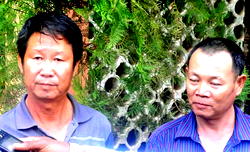 17,000 Chinese legally resident in Nigeria – Immigration boss