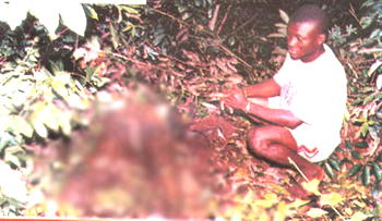 Echoes of Otokoto: Justice cometh at last