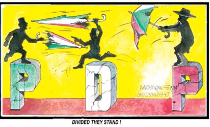 The PDP finds its undertakers