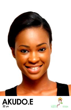 Ezinne Akuda wins Miss Nigeria 2013