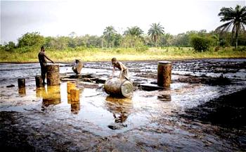 Community invites govt , security to  flush out oil thieves