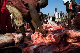 Lagos butchers Butchers want abattoir connected to electricity