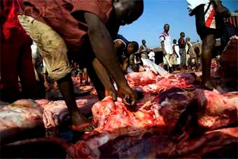 Lagos arrests butchers selling tuberculosis infected beef