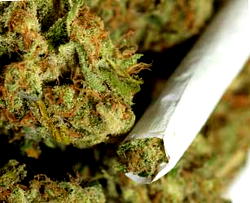 The politics of marijuana in Nigeria