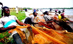 FG may soon ban fish importation – Minister