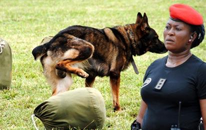 Terrorism: Police deploy sniffer dogs to int’l airports