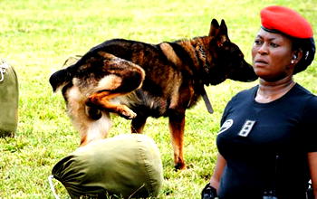 Terrorism: Police deploy sniffer dogs to int’l airports