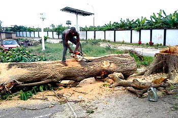 NSC disowns liaison officer, summons Stadium mgr