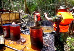 N/Delta environment degradation: When oil theft, illegal bunkering take centre stage