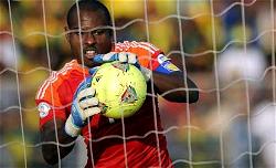 Red-hot Enyeama continues to shine