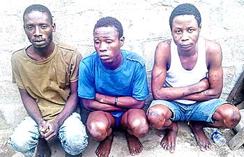 Lamentations of suspected robbery kingpin