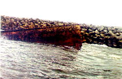 N25bn required to remove abandoned shipwrecks — LASG
