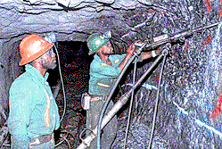Customs, Immigration to blame for illegal mining