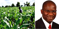 LASG gives N1b support to 400 graduate farmers