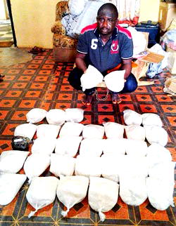 NDLEA arrests four with N352m  drugs