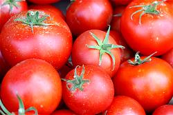 Nigeria spends $1bn to import tomato paste —UNEP