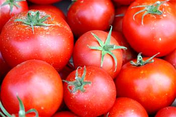 700,000 metric tonnes of tomatoes required to meet national demand ―NIHORT