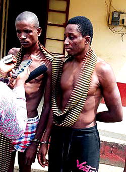 Calabar terrorists