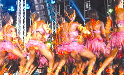 Guild decries dearth of professional dancers