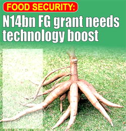 Food Security: N14bn FG grant needs technology boost