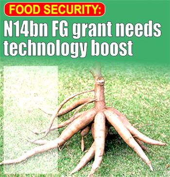Food Security: N14bn FG grant needs technology boost