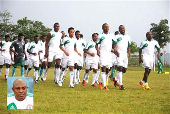 CHAN 2014: Uzoenyi, Odunlami, Agbim and others; who will you take to the World Cup?