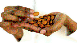 Healthy foods for the heart