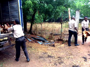 Evacuation of my poultry, a wicked act — Enugu Deputy Gov