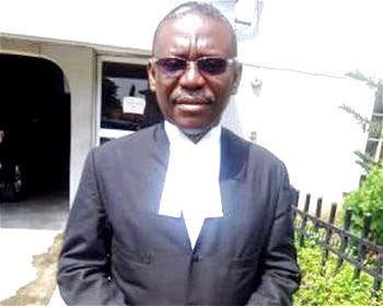 Our laws are not responding to contemporary issues —Delta AG