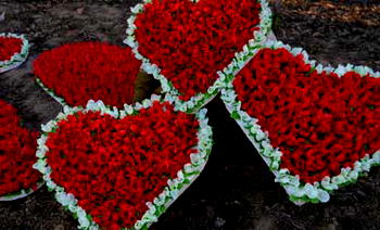 Love that passeth understanding