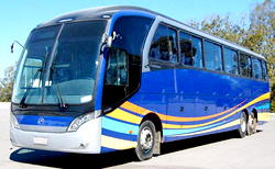 Xmas: ABC Transport expands Sprinters service, trains crew
