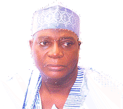 Senator Adokwe bags ANA pillar award