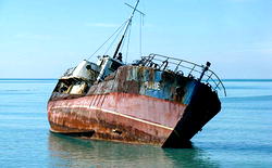 Sinking ship: Chinese diver saves three, gets IMO bravery award