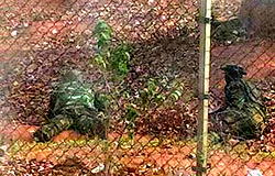 “Exporting” terrorists to Anambra?