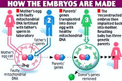 Want designer baby? Genetically-modified babies now possible