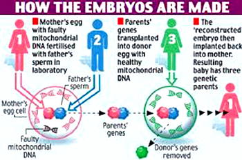 Want designer baby? Genetically-modified babies now possible