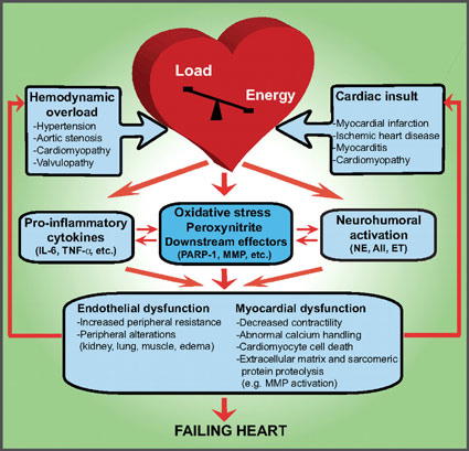 Stress, longer period in traffic increase heart diseases – Ihejieto
