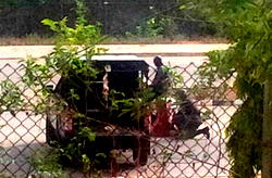 2 jailed over theft of iron cranes