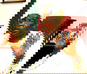 Ajaokuta Steel, victim of economic hit-men — Prof. Aminu