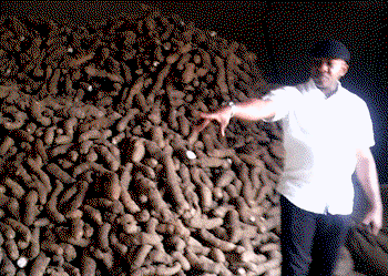 African farmers need supports – Adesina